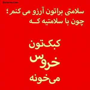 اس ام اس خنده دار تبریک سال خروس عید نوروز 96 + عکس نوشته