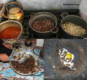 فیلم خوردن جیرجیرک در کرمان + آموزش درست کردن غذای جیرجیرک
