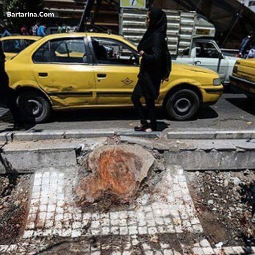 تجاوز به زن تهرانی در یک روز توسط چند نفر راننده + عکس