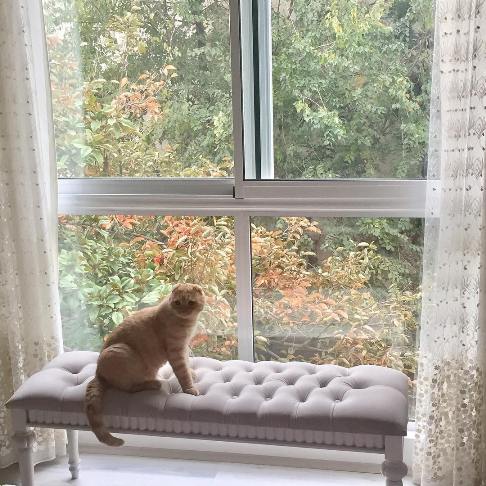 گربه کتاب خوان بهنوش طباطبایی+ عکس